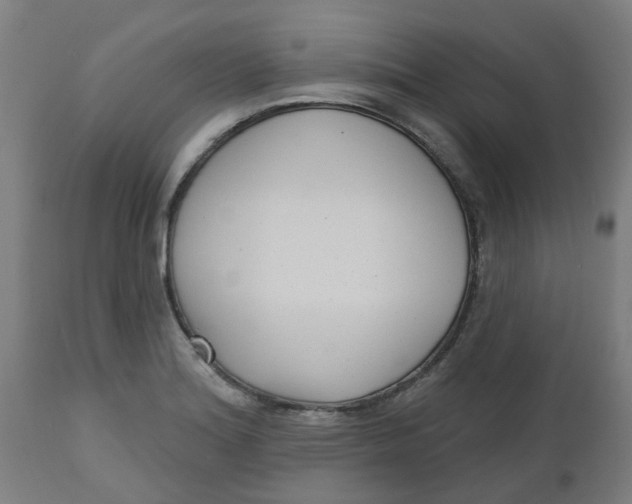 X0000112481180200909071149