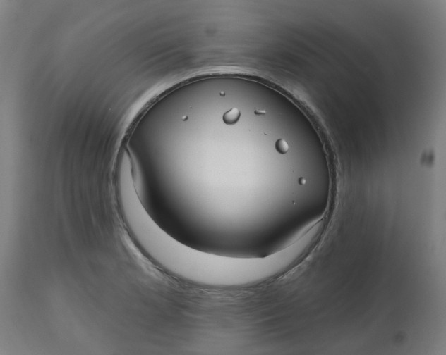 X0000112481181200909071149