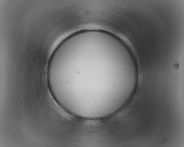 X0000112481183200909071149