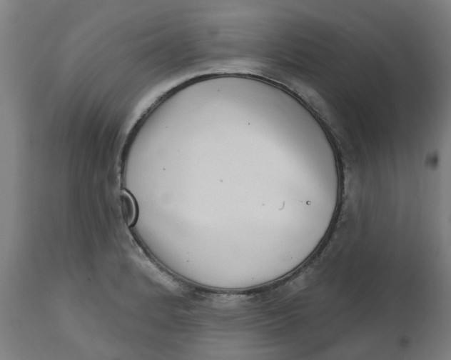 X0000112481184200909071149