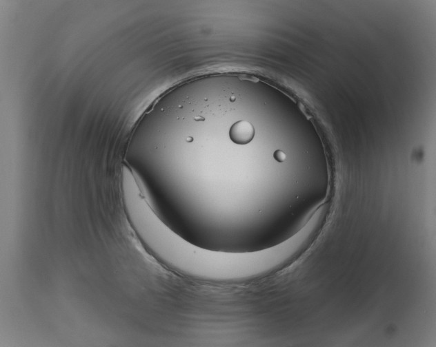 X0000112481185200909071149