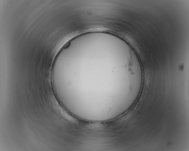 X0000112481186200909071149