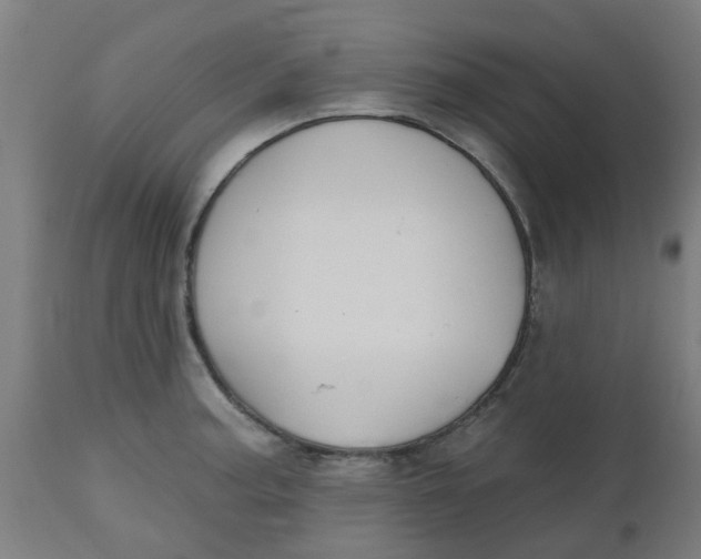 X0000112481187200909071149