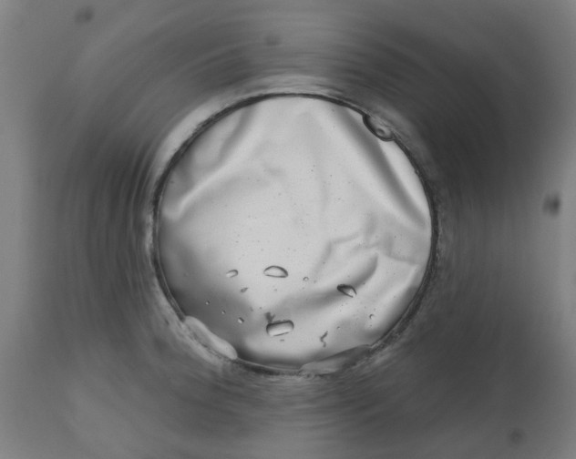 X0000112481188200909071149