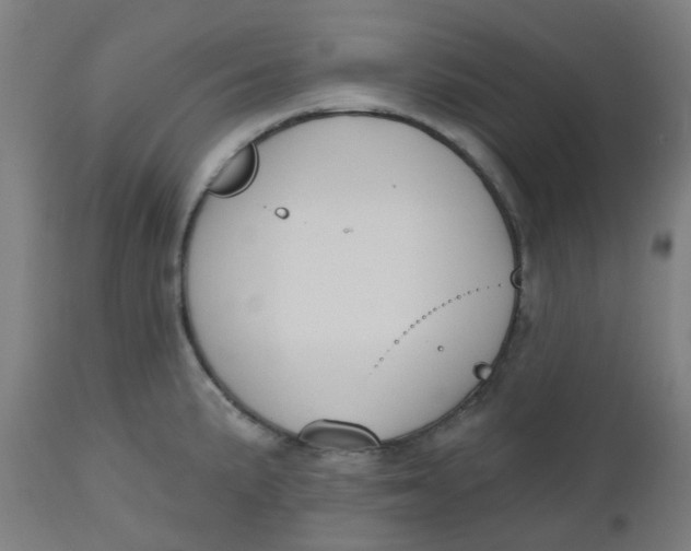 X0000112481191200909071149