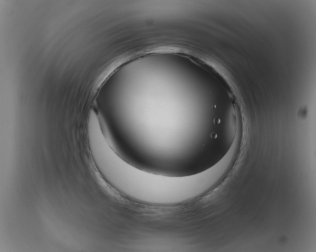 X0000112481193200909071149