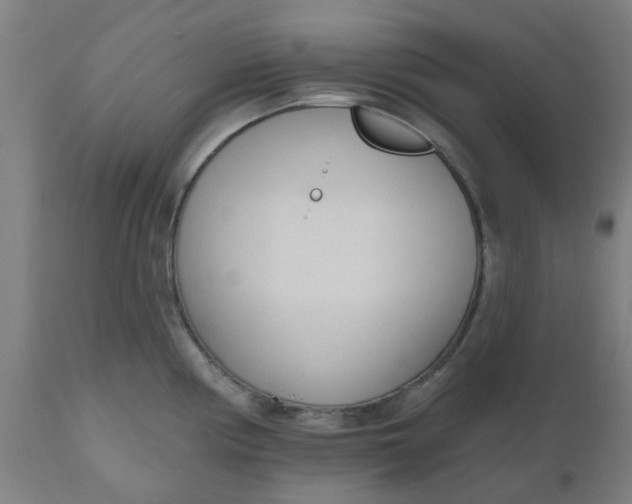 X0000112481194200909071149