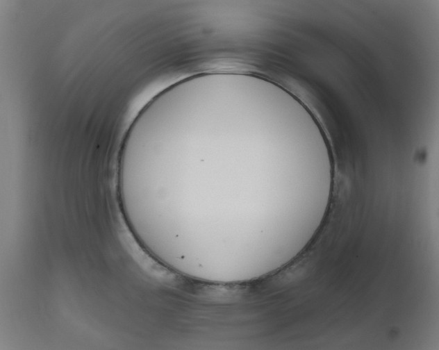 X0000112481195200909071149