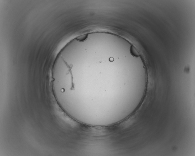 X0000112481198200909071149