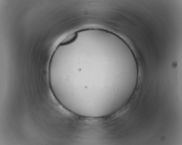 X0000112481199200909071149