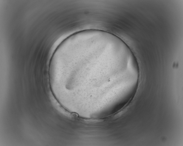 X0000112481200200909071149