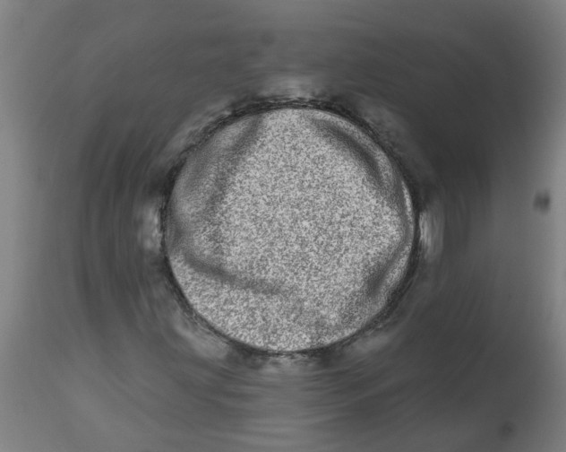 X0000112481203200909071149