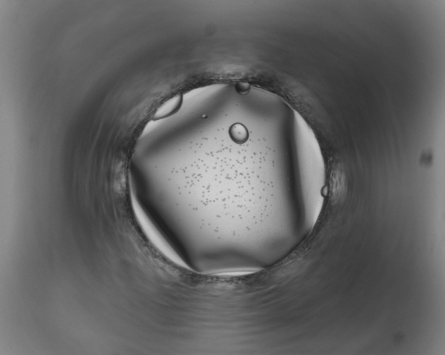 X0000112481204200909071149