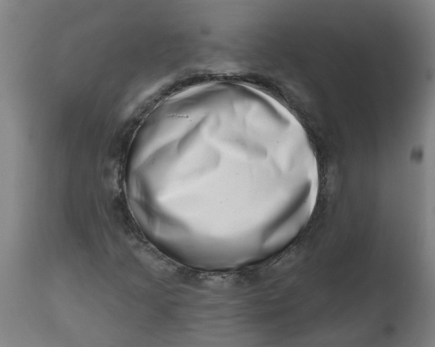 X0000112481205200909071149