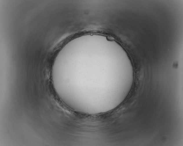 X0000112481206200909071149