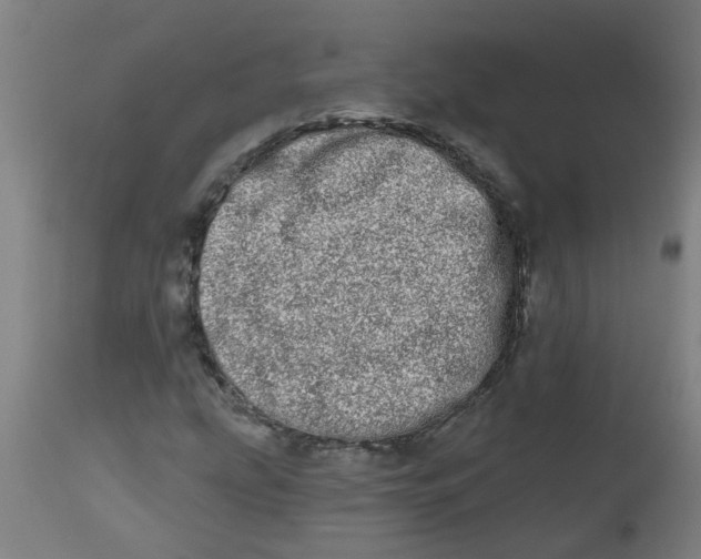 X0000112481207200909071149