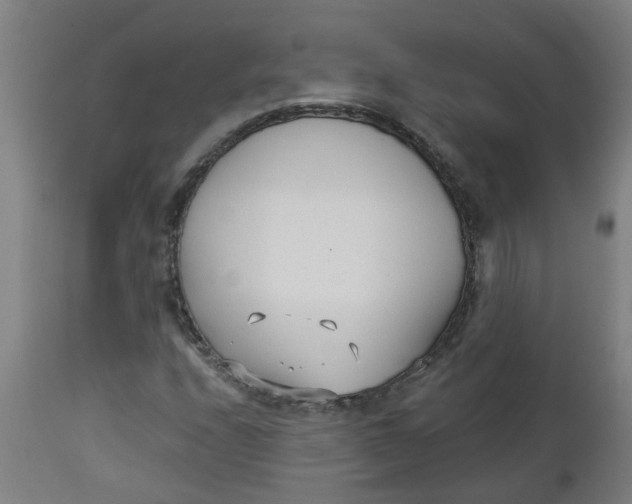 X0000112481208200909071149