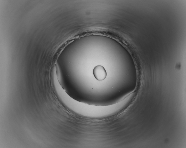 X0000112481209200909071149