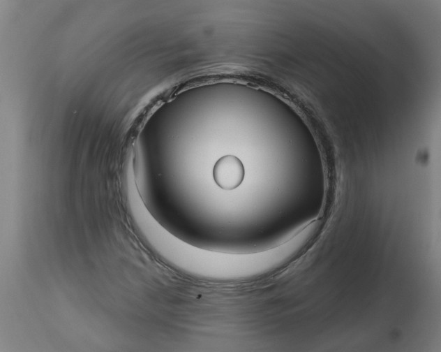 X0000112481210200909071149