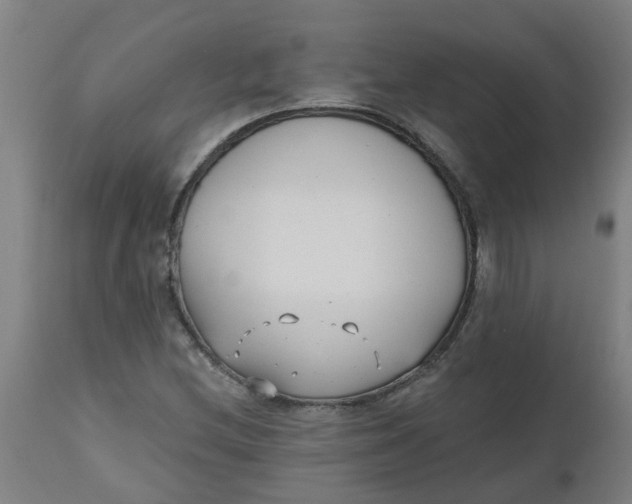 X0000112481212200909071149