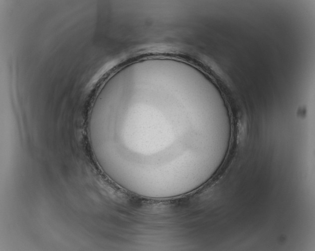 X0000112481213200909071149