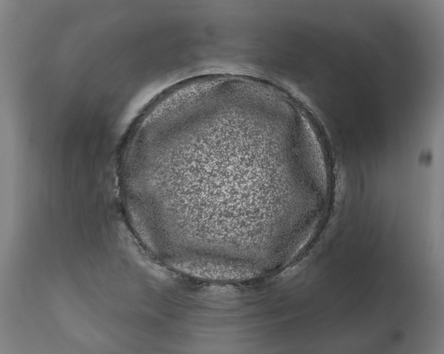 X0000112481215200909071149