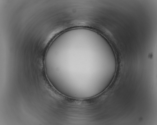 X0000112481218200909071149