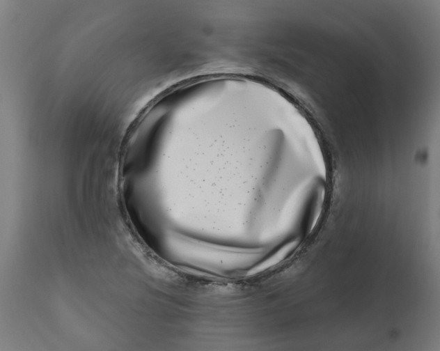 X0000112481220200909071149