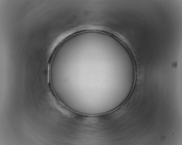 X0000112481223200909071149