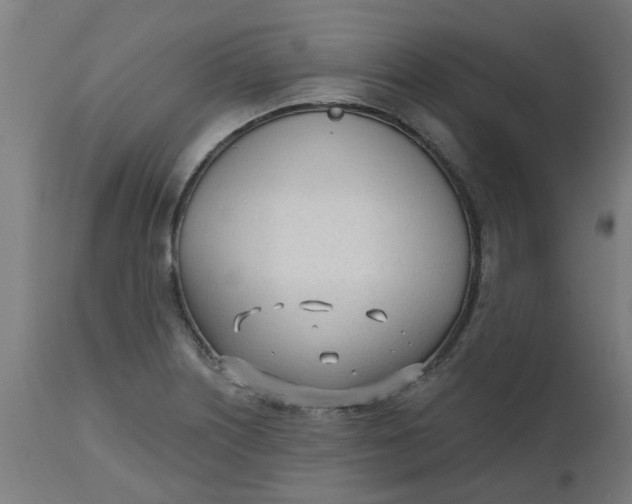 X0000112481226200909071149