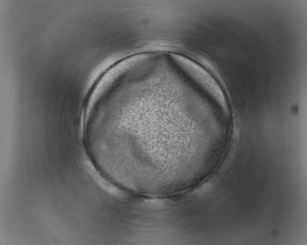 X0000112481227200909071149