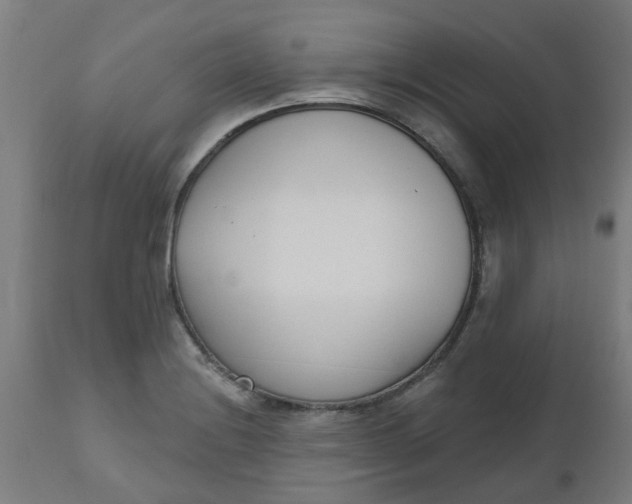 X0000112481228200909071149