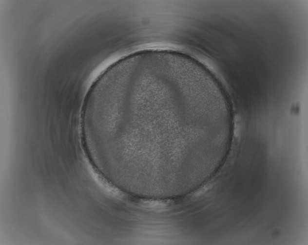 X0000112481229200909071149