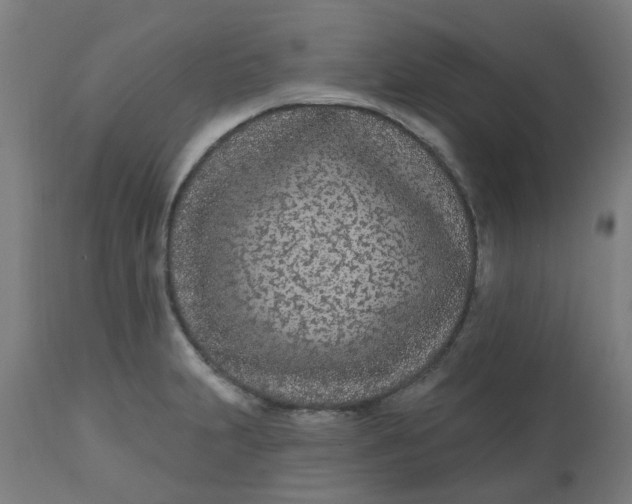 X0000112481231200909071149