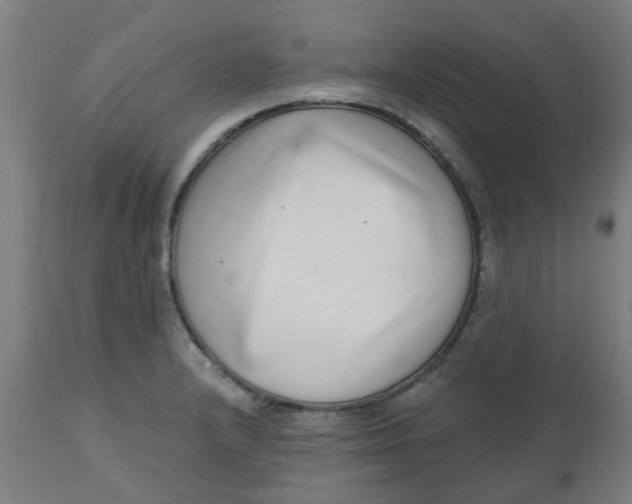 X0000112481232200909071149