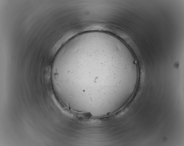 X0000112481233200909071149