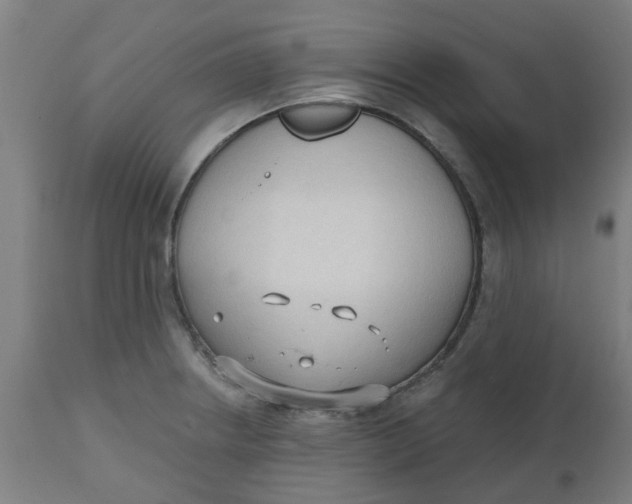 X0000112481234200909071149