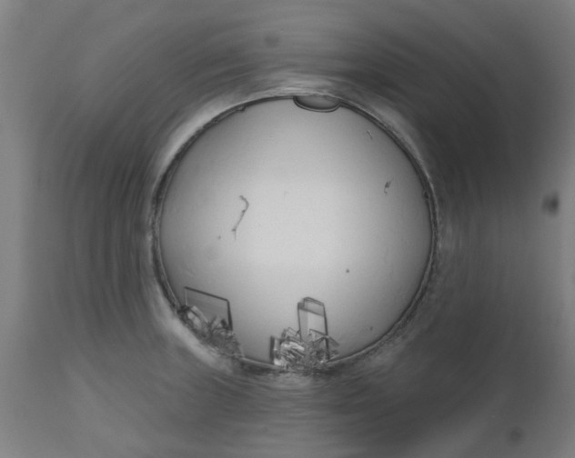 X0000112481235200909071149