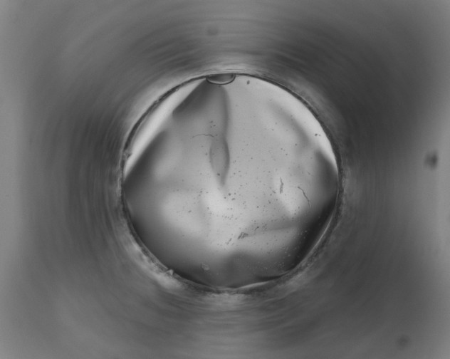 X0000112481236200909071149