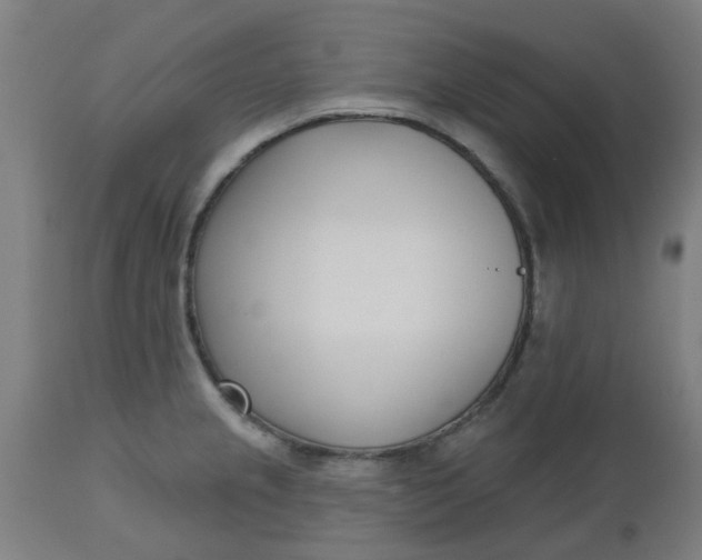 X0000112481237200909071149