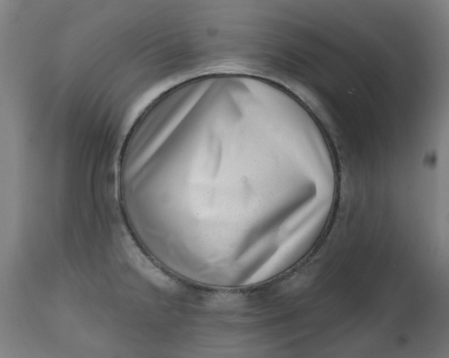 X0000112481238200909071149