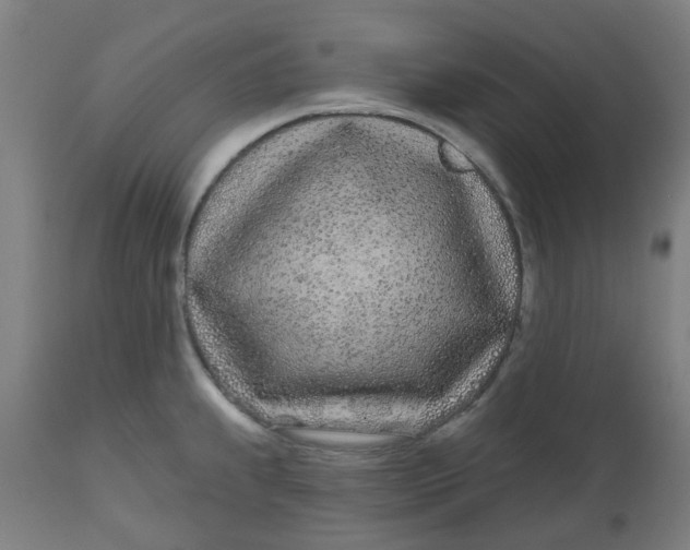 X0000112481239200909071149