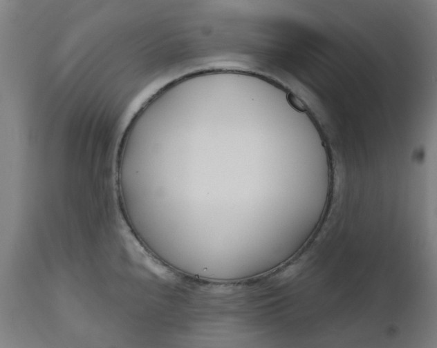 X0000112481240200909071149