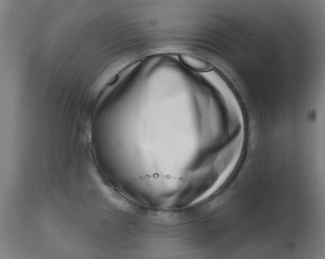 X0000112481241200909071149