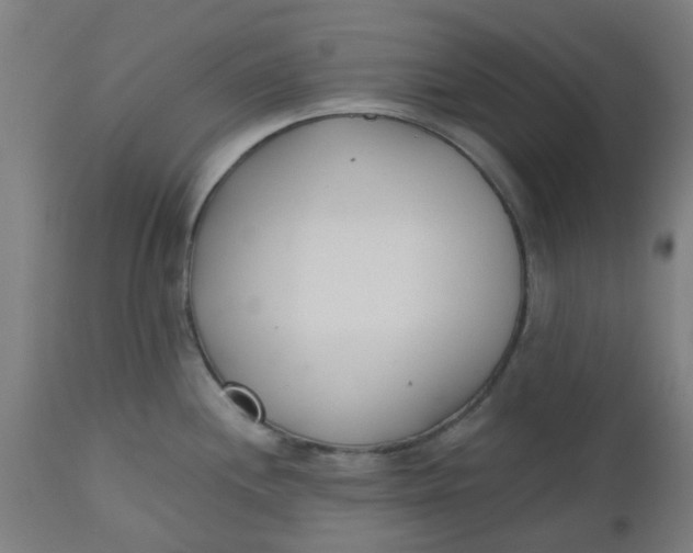 X0000112481244200909071149