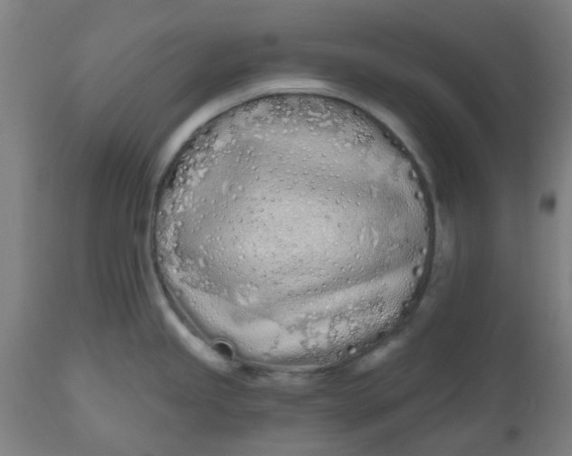 X0000112481245200909071149