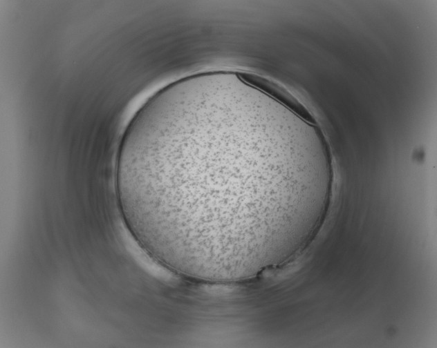 X0000112481246200909071149