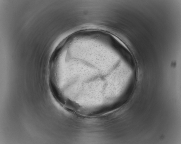 X0000112481247200909071149