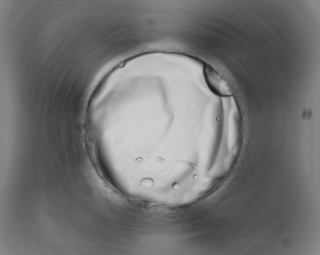 X0000112481248200909071149