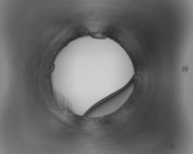 X0000112481249200909071148